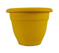 The HC Companies Planters, Honey, 6 "