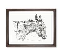 The Head Of A Donkey By Jean Bernard Vintage Framed Print | A3 Walnut Framed Wall Art | Ready to Hang | Classic Animal Picture | Living Room Bedroom Lounge Office