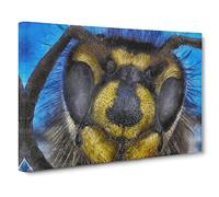 The Head Of A Wasp Canvas Print | Gallery Wrapped 30mm Frame Wall Art | 20x14 inches | Ready to Hang | Modern Picture | Living Room Bedroom Lounge Office
