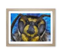 The Head Of A Wasp Painting Modern Art Framed Print | A2 Oak Framed Wall Art | Ready to Hang | Modern Historical Picture | Living Room Bedroom Lounge Office