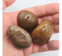 The Healing Crystals Company Large Pietersite Tumbled Stone, 3.5-4.5cm Natural Crystal, Brown and Black, 35-50g, with Cotton Pouch