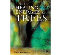 The Healing Energy Of Trees