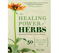 The Healing Power of Herbs: Medicinal Herbs for Common Ailments