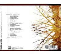 Despised Icon - The Healing Process (Alternate Mix - Re-issue + Bonus 2022)