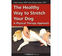 The Healthy Way to Stretch Your Dog: A Physical Therapy Approach