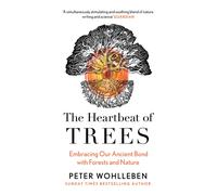 The Heartbeat of Trees: Embracing Our Ancient Bond With Forests and Nature