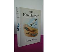 The Hen Harrier