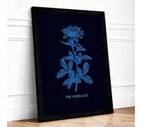 The Herbalist Botanical Framed Wall Art Print A2 (59.4×42cm) Black, Wall Decor for Living Room, Bedroom, Office & Home, Ready to Hang, Art Gift