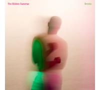 THE HIDDEN CAMERAS - BRONTO