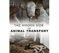 The Hidden Side of Animal Transport