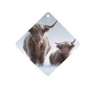 The Highland Cattle in Winter Car Aromatherapy Tablets