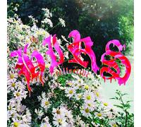 The HIRS Collective - Friends. Lovers. Favorites
