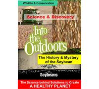 The History & Mystery of the Soybean