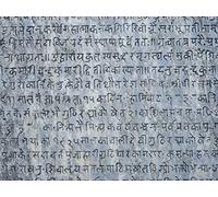 The History of Language