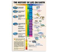 The History Of Life On Earth Metal Tin Signs Earth Knowledge Metal Poster Teacher's Office Education Wall Decor Home Study Classroom Children's Science Plaque 8x12 Inch