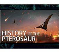 The History of The Pterosaur: When Flying Creatures Ruled The World