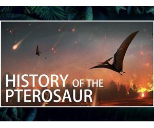 The History of The Pterosaur: When Flying Creatures Ruled The World