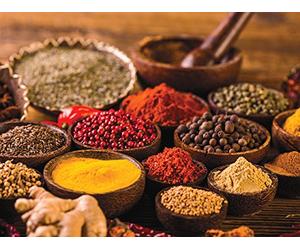 The History of the Spice Trade