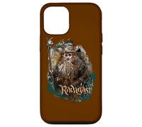 The Hobbit Radagast The Brown Case for iPhone 12/12 Pro