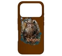 The Hobbit Radagast The Brown Case for iPhone 17 Pro