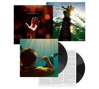 The Hold Steady Heaven Is Whenever (Vinyl) (US IMPORT)