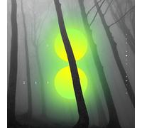 The Holy Family - Go Zero [VINYL]