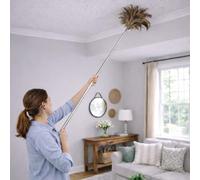 The Home Valet Company New Super Long Reach Ostrich Feather Duster Telescopic Slimline Stainless Steel Handle Extends From 44cm To Over 2.4 Meters With The Head Use Handheld Also