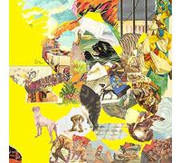 The Homesick - The Big Exercise [VINYL]