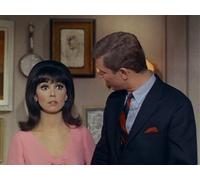 The Honeymoon Apartment