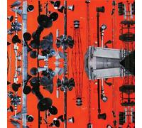 The Horns of Ammon by Linus Pauling Quartet (2013-08-03)
