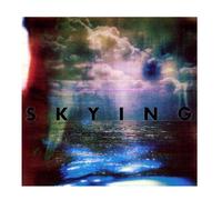 The Horrors Skying - 2x Vinyl LP in Black The Horrors Black