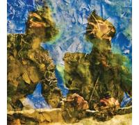 The Horse's Ha - Waterdrawn (Vinyl) [VINYL]