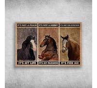 The Horses - It’SA Phase, It’S My Life, It’SA Hobby, It’S My Passion for Retro-Style Home Coffee Wall Decoration, As Well As for Use in Bars and Garages Metal Tin Sign 12x16 Inches.