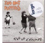 the hot puppies - KING OF ENGLAND CD EUROPEAN PRIVATE 2007