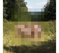 The Hotelier - Goodness