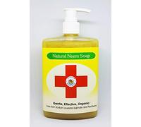 The House of Mistry Organic Natural Neem Hand Liquid Soap