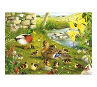The House Of Puzzles, Ducks To Water, Big 500 Piece Jigsaw Puzzle, Multi