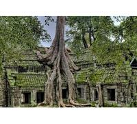 The House Under the Paper - 2000 piece Paper puzzle - Ages 14 and up70x100cm