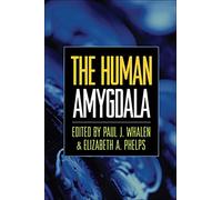 The Human Amygdala