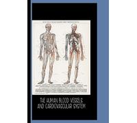 The Human Blood Vessels and Cardiovascular System (1898) : Sketch Book: Die Blutgefasse Des Menschen / Gallery and Museum Art