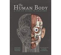 The Human Body : A Pop-Up Guide to Anatomy