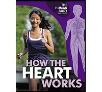 The Human Body in Focus: How The Heart Works