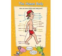 The Human Body poster Early Years Primary School Measuring ’s Learning for The Classroom(Unframed16x24inch(40x60cm))