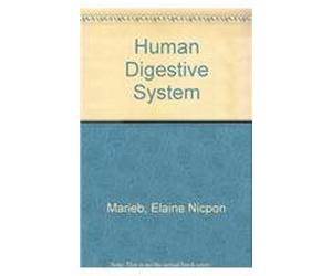 The Human Digestive System Videotape