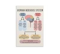 The Human Nervous System Affirmation Canvas Wall Art, Vintage Aesthetic Poster, Printing for Apartment Bedroom Living Room Decor12x18inch(30x45cm)