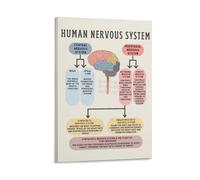 The Human Nervous System AffirmationWall Art Prints Neutral Vintage Canvas Posters Painting For Home Bedroom Dorm Wall Decor 12x18inch(30x45cm)