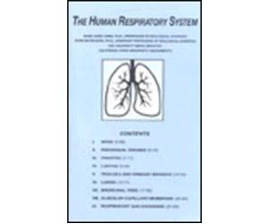 The Human Respiratory System Videotape [VHS]