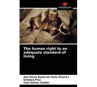The human right to an adequate standard of living