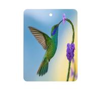 The Hummingbirds Collecting Car Aromatherapy Tablets