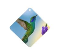 The Hummingbirds Collecting Car Aromatherapy Tablets